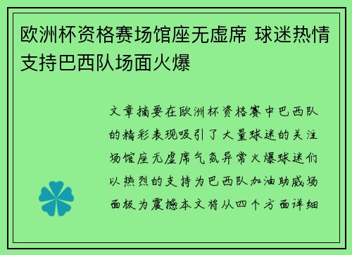 欧洲杯资格赛场馆座无虚席 球迷热情支持巴西队场面火爆